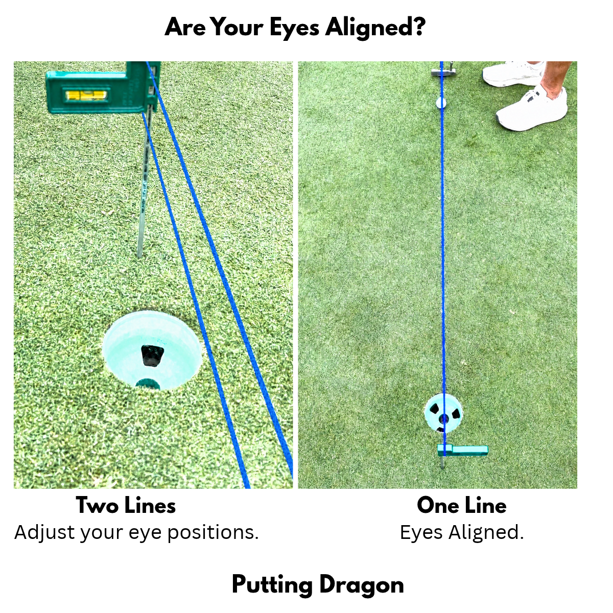 Eyes Aligned Image