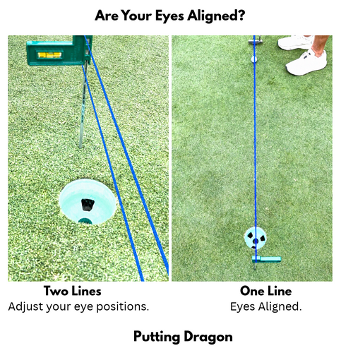 Eyes Aligned Image